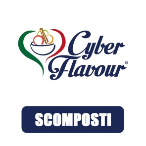 Aromi Concentrati 20ml Grande Formato - Cyber Flavour