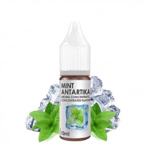 MINT ANTARTIKA - Elixir - Aroma Concentrato 10ml - Delixia