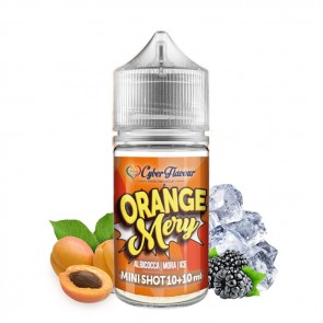 ORANGE MERY - Aroma - Mini Shot 1010 - Cyber Flavour