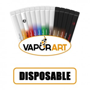 Disposable Vape Pen - 600 Puff - Vaporart